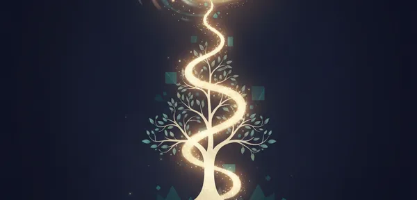 Persistence & Patience