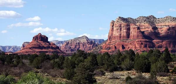 World Research Foundation | Complementary/Integrative Medicine Information & Research