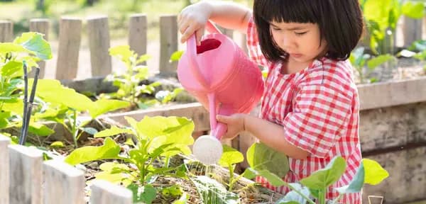 Discover Waldorf Education | Purposeful, Holistic, and Inspired Learning | AWSNA